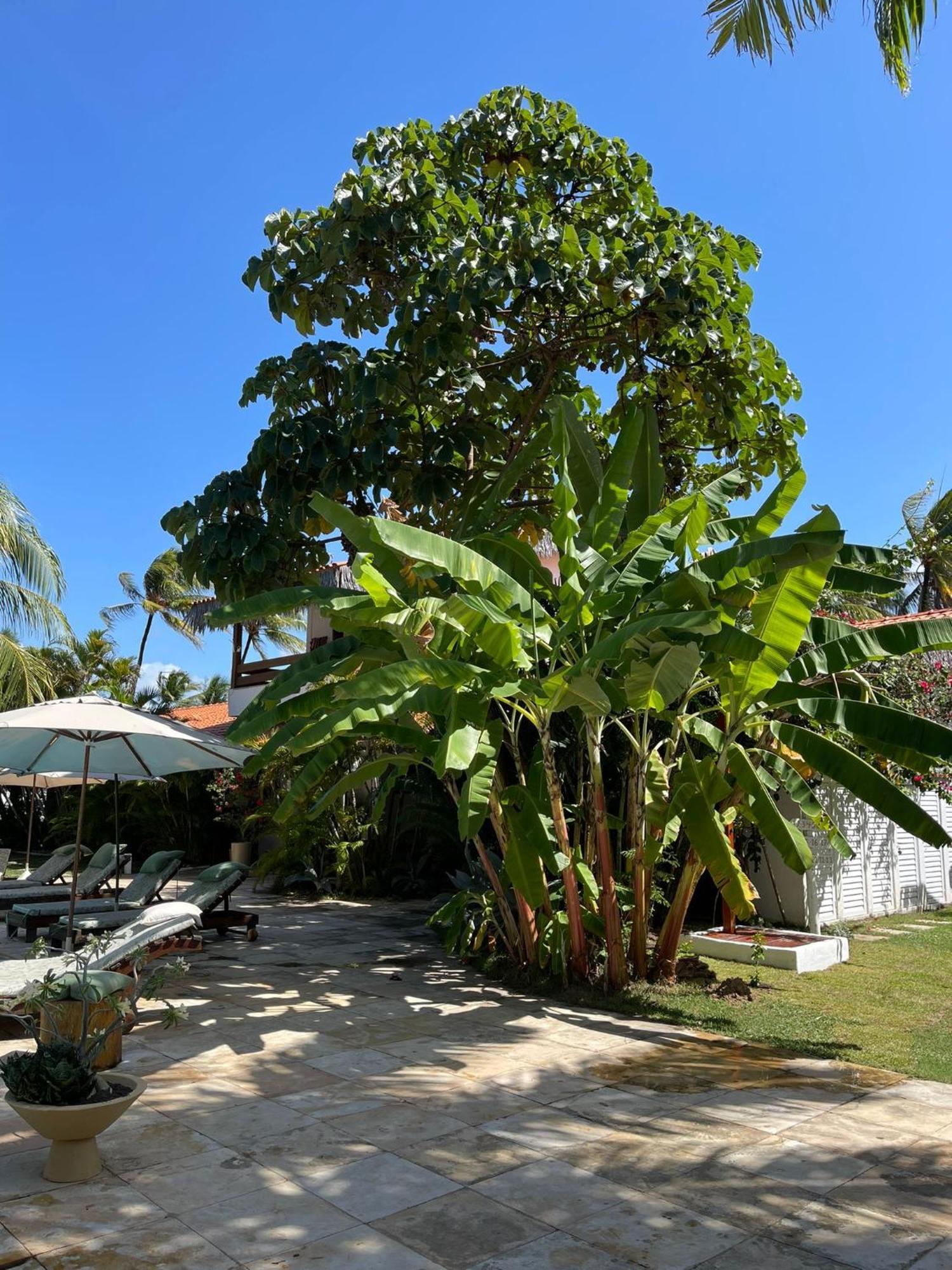 Controvento Boutique Hotel Cumbuco Εξωτερικό φωτογραφία