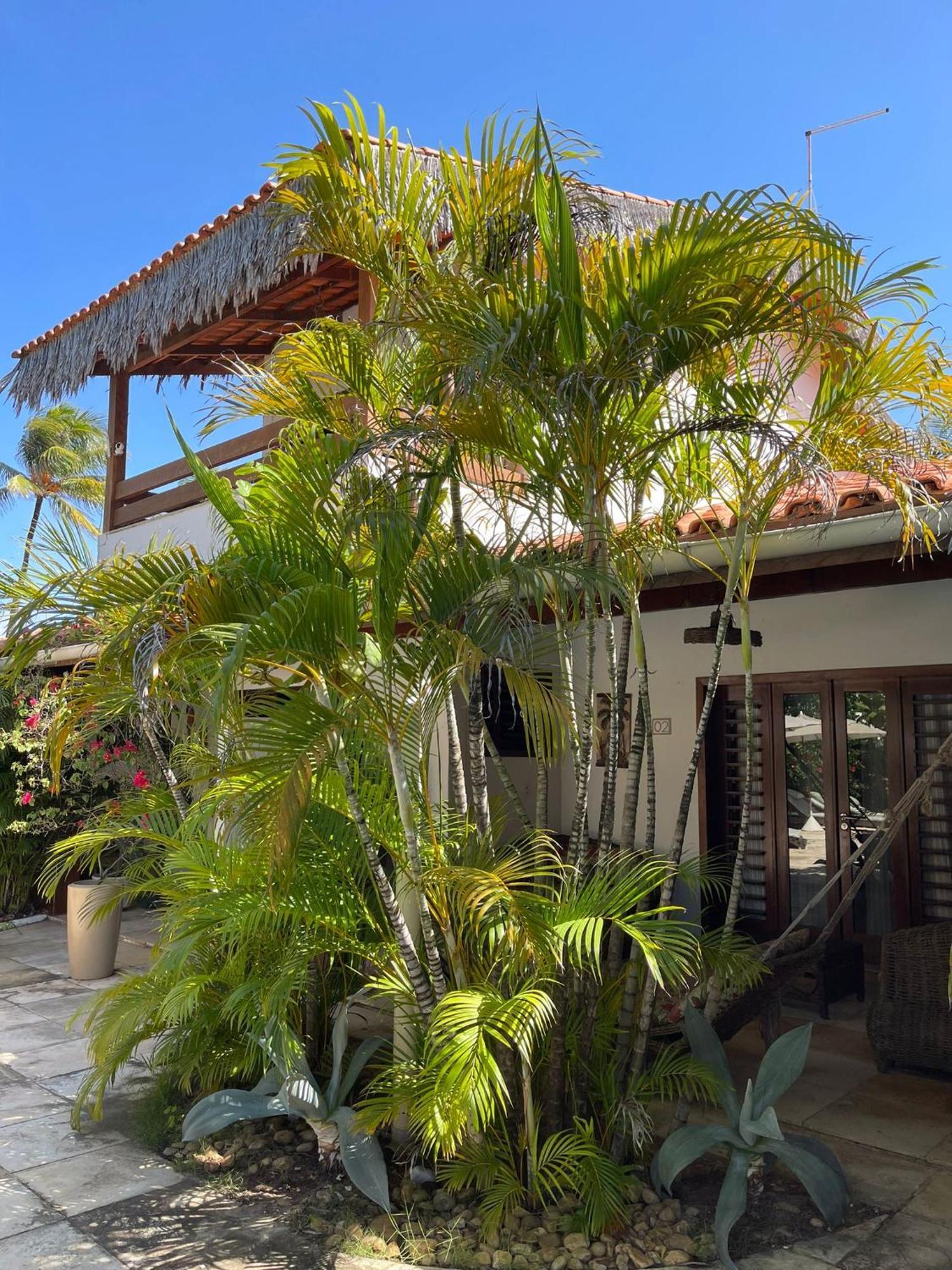 Controvento Boutique Hotel Cumbuco Εξωτερικό φωτογραφία